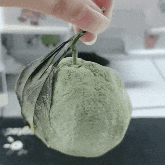 06.gif